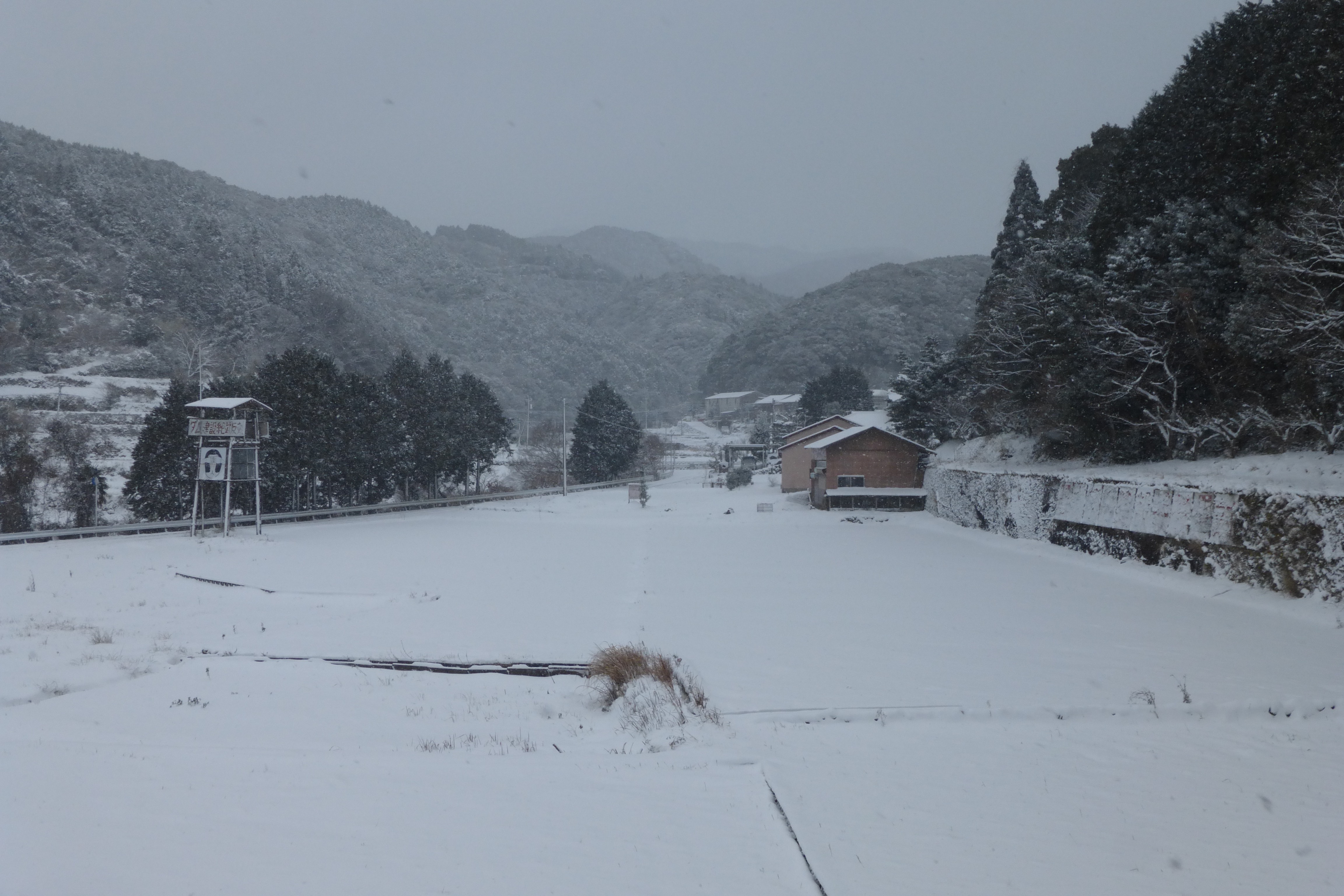 朝起きたら興奮の雪景色！九州では珍しいんです…