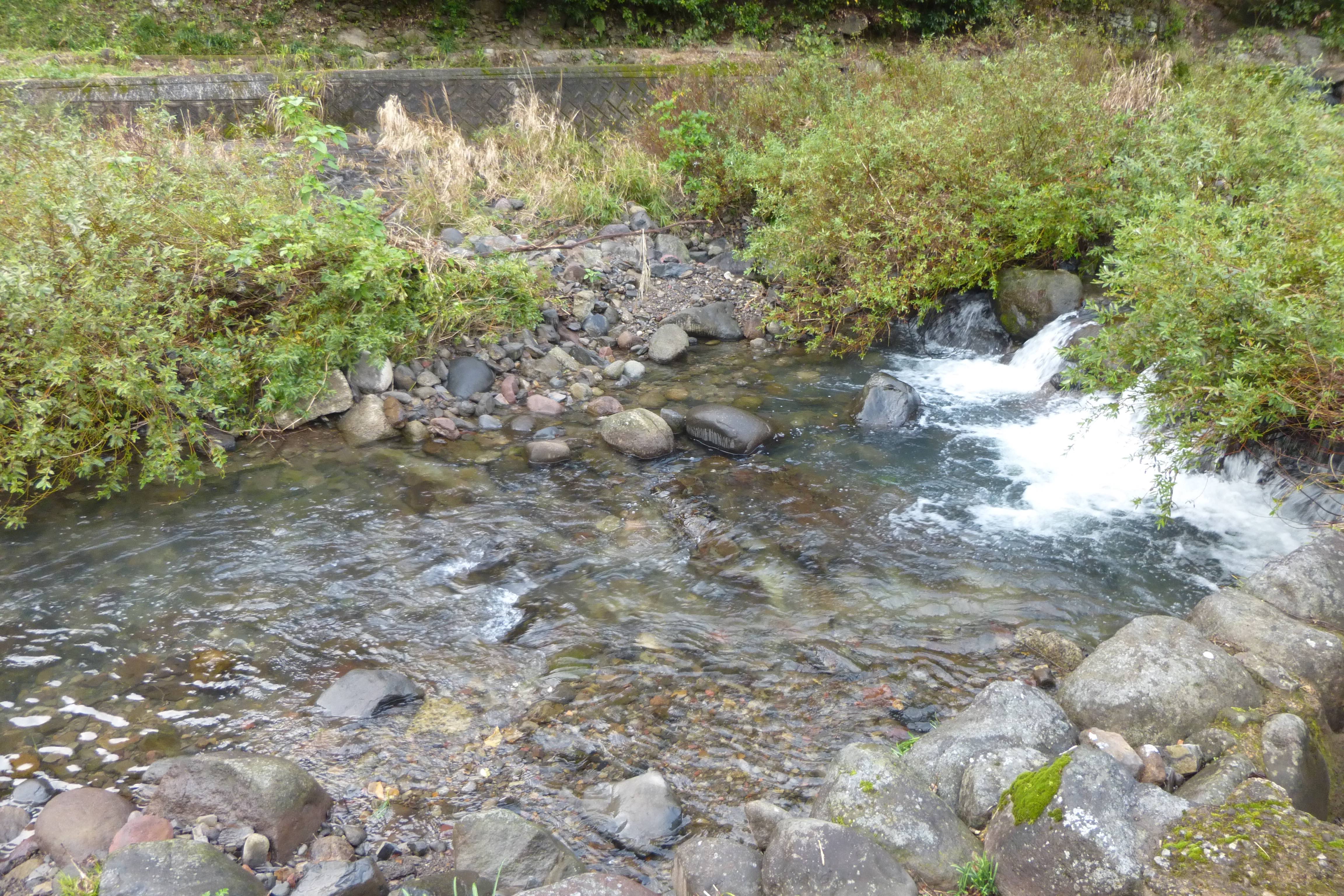 夏にはホタルが飛び交う石木川もこの時期は寒い。